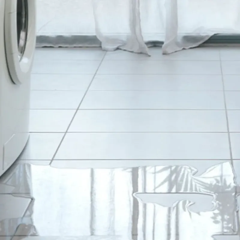 Appliance Leak Cleanup in West Little River, FL
