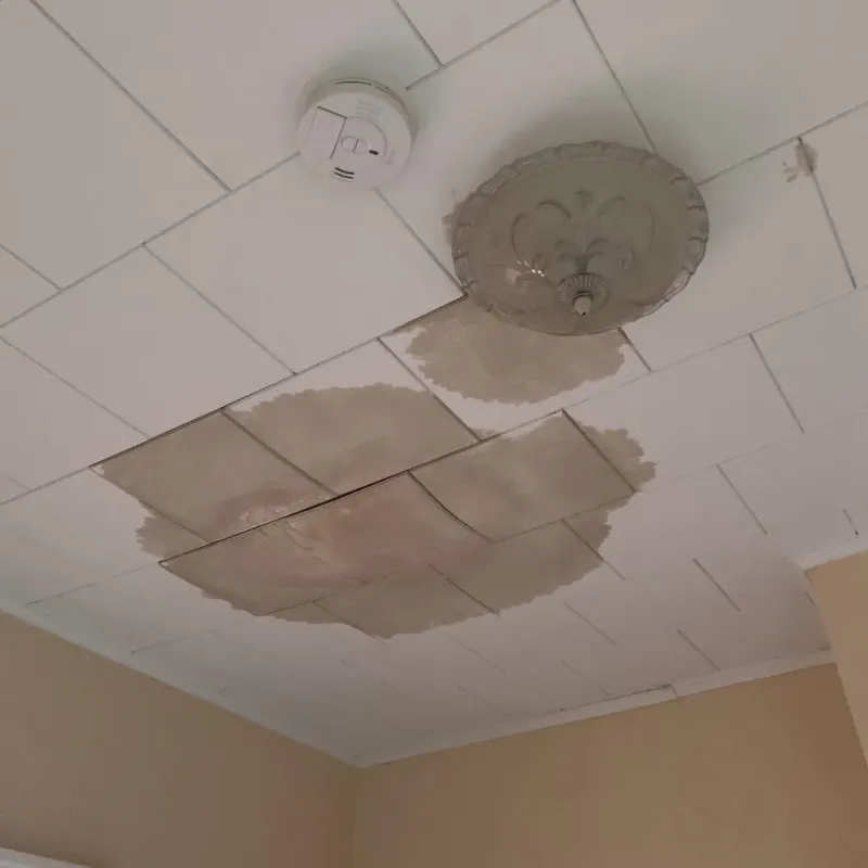 Ceiling Water Damage Repair in West Little River, FL